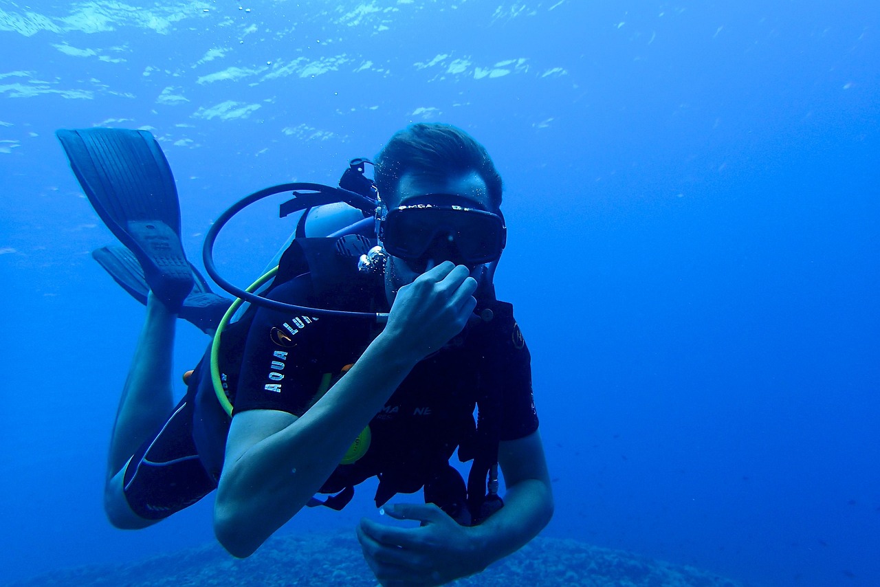 Snorkelling fins and mask packed for travel