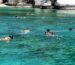 Complete snorkel set with mask, snorkel and fins